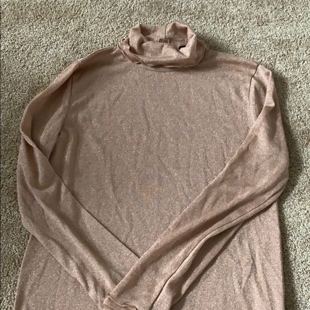 J. Crew Tissue Turtleneck